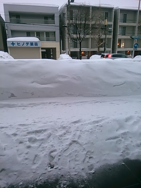 札幌の雪